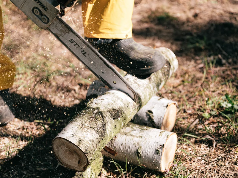 Forestry worker carrying professional equipment through managed woodland